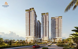 Đà Nẵng sẵn sàng đón làn sóng tinh hoa- Ảnh 3.