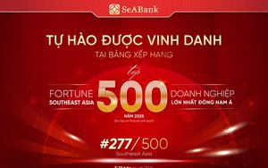 SeABankers Vì trẻ thơ - Một thập kỷ yêu thương khởi nguồn từ trái tim- Ảnh 5.
