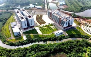 Những đơn vị sự nghiệp công lập nào trực thuộc Bộ Giáo dục và Đào tạo? - Ảnh 2.