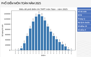 Không có điểm 10 môn Ngữ văn thi tốt nghiệp trung học phổ thông năm 2025 - Ảnh 4.