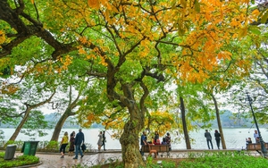 Hà Nội, Thành phố Hồ Chí Minh tăng độ "hot" trong các điểm đến hàng đầu tháng 9 - Ảnh 2.