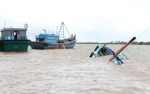 Quảng Ninh khởi tố vụ án 13 tàu cá tháo thiết bị giám sát hành trình  - Ảnh 3.