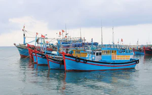 L&agrave;o Cai: Xử phạt 5 người sử dụng k&iacute;ch điện khai th&aacute;c thủy sản tr&aacute;i ph&eacute;p - Ảnh 3.