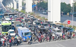 Mở rộng đường, Hà Nội phải đốn cây xanh không thể bảo tồn - Ảnh 2.
