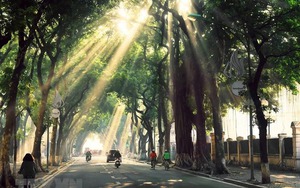 Từ 1/8, triển khai vé ảo trên 2 tuyến tàu trên cao Hà Nội - Ảnh 4.