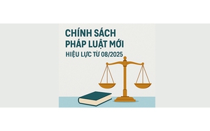 Chính sách kinh tế mới có hiệu lực từ tháng 8/2025 - Ảnh 2.