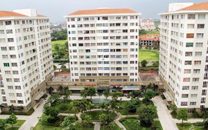 Mua nhà ở xã hội: Công an phường sẽ xác nhận thu nhập thay Ủy ban nhân dân? - Ảnh 3.