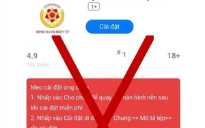 Cảnh giác với thủ đoạn lừa cập nhật dữ liệu - Ảnh 1.
