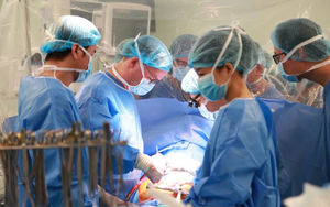Thalassemia góp mặt tại vòng Chung khảo Nhân tài Đất Việt 2025 - Ảnh 5.