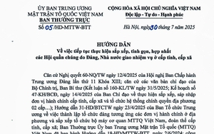 Đề xuất Thành phố Hồ Chí Minh có không quá 8 Phó Chủ tịch Ủy ban nhân dân - Ảnh 6.