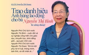 Bà Nguyễn Thị Bình nhận danh hiệu Anh hùng Lao động - Ảnh 2.