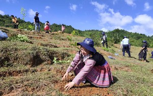 Bảo đảm an toàn giao thông đường sắt dịp Quốc khánh 2/9 - Ảnh 2.