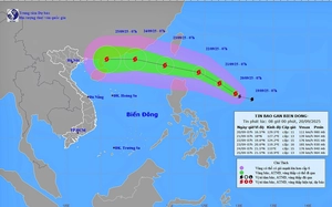 Bão Ragasa đang ở cấp siêu bão, đề phòng đổi hướng vào nước ta - Ảnh 2.