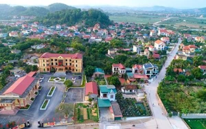 Thành phố Hồ Chí Minh triển khai Kế hoạch tổ chức Tuần lễ hưởng ứng học tập suốt đời năm 2025 - Ảnh 2.