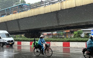 Bão số 9 (bão Ragasa) đổ bộ, tỉnh nào mưa lớn nhất?- Ảnh 2.