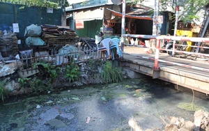 Vi phạm thả rông động vật nuôi ở nơi công cộng bị phạt thế nào? - Ảnh 3.