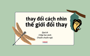 Đề thi học sinh giỏi Ngữ văn: Chúng ta không hề vĩ đại hơn phần còn lại của thế giới - Ảnh 2.