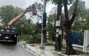 Bão số 10 (Bualoi) gây hậu quả nặng nề tại tỉnh Thanh Hoá - Ảnh 11.