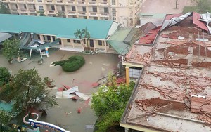 Khẩn trương, quyết liệt khắc phục sự cố lưới điện tai các khu vực bị ảnh hưởng bão số 10 - Ảnh 3.
