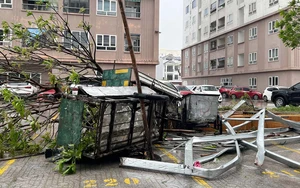 Bão số 10 (Bualoi) gây hậu quả nặng nề tại tỉnh Thanh Hoá - Ảnh 14.