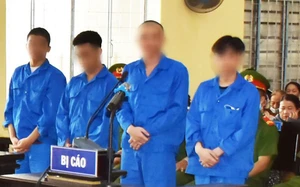 Người có hành vi bạo lực gia đình sẽ bị công an xã giám sát - Ảnh 4.
