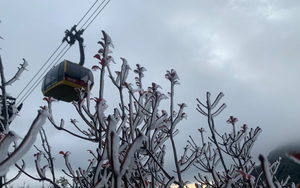 Thời tiết 10 ng&agrave;y tới: nắng ấm trở lại sau những ng&agrave;y lạnh gi&aacute; tại H&agrave; Nội - Ảnh 2.