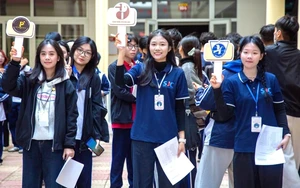 Trường Đại học Luật Th&agrave;nh phố Hồ Ch&iacute; Minh mở 4 ng&agrave;nh "hot" - Ảnh 3.