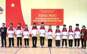 Thi chọn học sinh giỏi quốc gia: Siết an ninh v&agrave; chấm số h&oacute;a c&oacute; đủ để củng cố niềm tin? - Ảnh 4.