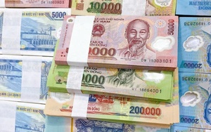 Ti&ecirc;u d&ugrave;ng Tết 2026: Giỏ qu&agrave; Tết cổ v&ugrave;ng miền "l&ecirc;n ng&ocirc;i" - Ảnh 6.