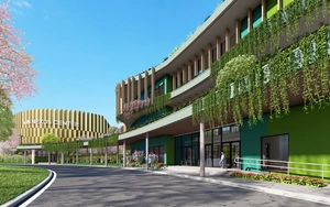 Giải thưởng Trường học sinh th&aacute;i ASEAN Việt Nam 2025 vinh danh 60 trường học kh&ocirc;ng r&aacute;c thải nhựa - Ảnh 2.