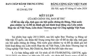 Bộ Ch&iacute;nh trị ph&acirc;n c&ocirc;ng c&aacute;c đồng ch&iacute; tham gia Ban B&iacute; thư kh&oacute;a XIV - Ảnh 2.