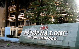 Tổng Gi&aacute;m đốc C&ocirc;ng ty đồ hộp Hạ Long bị bắt - Ảnh 3.