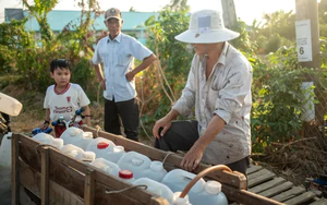 Dự b&aacute;o trạng th&aacute;i El Ni&ntilde;o trong c&aacute;c th&aacute;ng cuối năm 2026 - Ảnh 2.