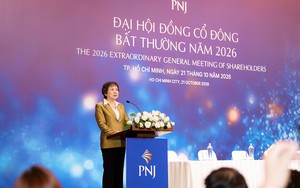 PNJ lỗ nặng gần 1.000 tỉ đồng trong hai qu&yacute; gần đ&acirc;y- Ảnh 2.