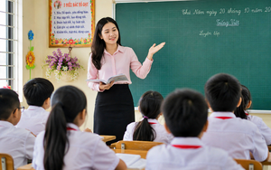 Th&agrave;nh phố Hồ Ch&iacute; Minh thiếu gần 22.000 gi&aacute;o vi&ecirc;n, dự kiến tuyển dụng v&agrave;o th&aacute;ng 11, 12 - Ảnh 3.