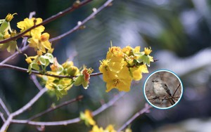 Thời tiết 10 ng&agrave;y tới: Những rủi ro cần cảnh b&aacute;o sớm - Ảnh 1.