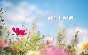 Dự b&aacute;o thời tiết đ&ecirc;m Giao thừa v&agrave; m&ugrave;ng 1 Tết  - Ảnh 2.