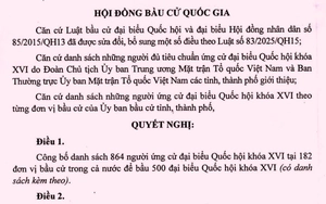 2 nữ gi&aacute;o sư ng&agrave;nh gi&aacute;o dục ứng cử đại biểu Quốc hội kh&oacute;a XVI - Ảnh 4.