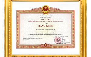 Học g&igrave; từ Chủ tịch Tập đo&agrave;n BRG &ndash; Madame Nguyễn Thị Nga - Ảnh 2.