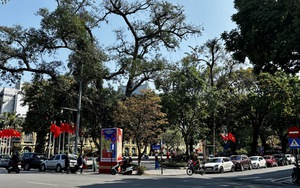 Cử tri 100 tuổi bầu cử sớm nhất ở x&atilde; Hồng Sơn, H&agrave; Nội - Ảnh 6.