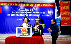 T&iacute;nh đến thời điểm n&agrave;y, tr&ecirc;n 99% cử tri cả nước đ&atilde; đi bỏ phiếu - Ảnh 5.