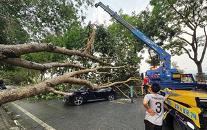 Cấp điện nhanh trở lại sau gi&ocirc;ng lốc ở L&agrave;o Cai - Ảnh 7.