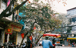 Dự b&aacute;o thời tiết dịp 8/3 - Ảnh 4.