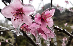 Dự b&aacute;o kh&ocirc;ng kh&iacute; lạnh tuần từ 9/3 - Ảnh 2.