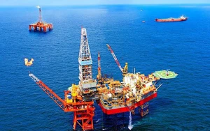 Ch&iacute;nh phủ giảm thuế nhập khẩu c&aacute;c loại xăng dầu về 0% - Ảnh 8.