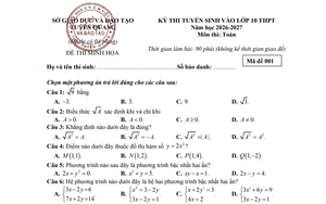 Đề thi thử v&agrave;o lớp 10 m&ocirc;n Tiếng Anh của Trường Trung học phổ th&ocirc;ng Chu Văn An (Th&aacute;i Nguy&ecirc;n) - Ảnh 5.