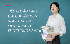 Ph&acirc;n hạng gi&aacute;o vi&ecirc;n cần thực chất hay chỉ l&agrave; danh xưng? - Ảnh 4.