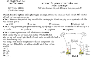 Đề thi thử tốt nghiệp trung học phổ th&ocirc;ng năm 2026 m&ocirc;n To&aacute;n của Sơn La - Ảnh 5.