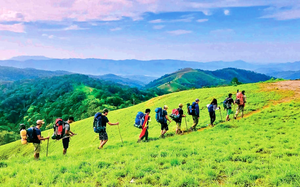 Việt Nam ghi dấu ấn tốc độ tăng trưởng du lịch mạnh nhất ch&acirc;u &Aacute; - Th&aacute;i B&igrave;nh Dương - Ảnh 12.