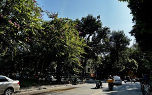 Dự b&aacute;o: nắng n&oacute;ng đến khi n&agrave;o giảm? - Ảnh 2.